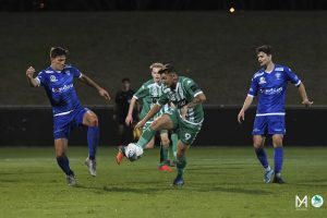 wp_AvellinoM_NPLVIC | RD7 GGvSM-14