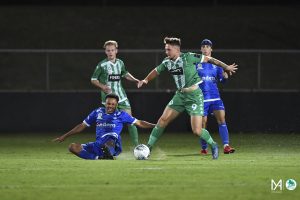 wp_AvellinoM_NPLVIC | RD7 GGvSM-49