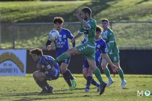 wp_AvellinoM_NPLU21-RD18-GGvOC-11