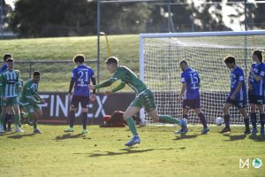 wp_AvellinoM_NPLU21-RD18-GGvOC-18