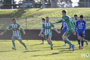 wp_AvellinoM_NPLU21-RD18-GGvOC-19