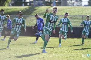 wp_AvellinoM_NPLU21-RD18-GGvOC-22