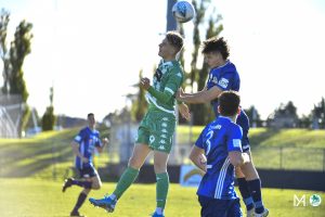 wp_AvellinoM_NPLU21-RD18-GGvOC-3