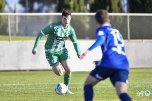 wp_AvellinoM_NPLU21-RD18-GGvOC-5