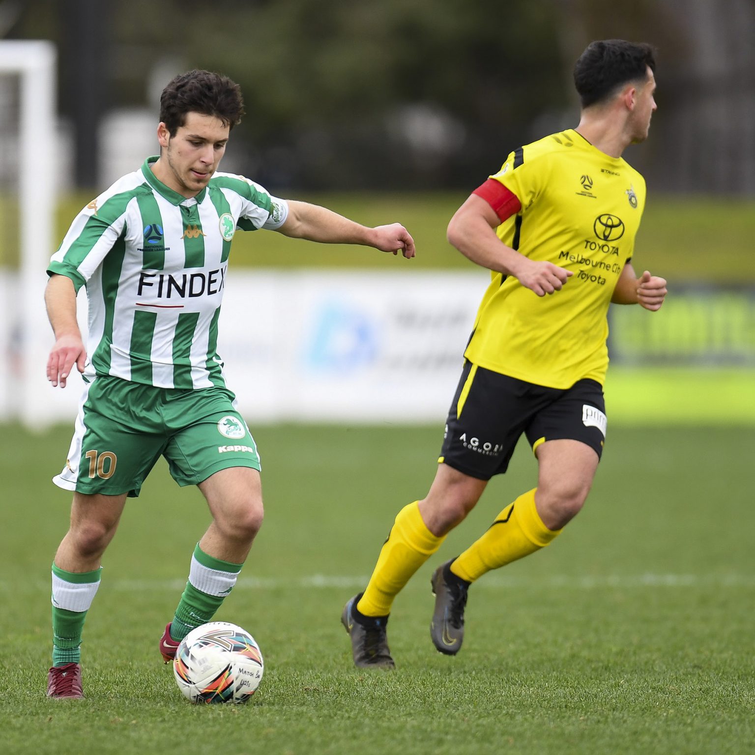 Football News — Green Gully Soccer Club