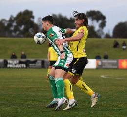 Home Green Gully Soccer Club